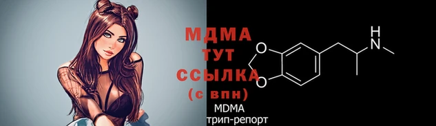 стафф Алексин