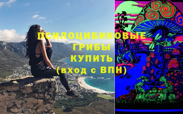 марки lsd Алексеевка