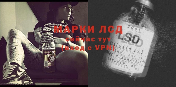 стафф Алексин