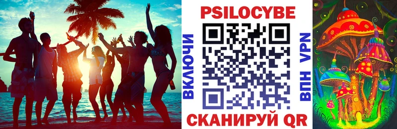 Галлюциногенные грибы MAGIC MUSHROOMS  продажа наркотиков  Курчалой 