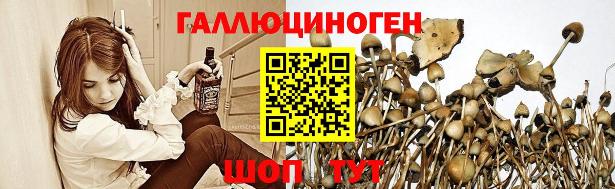 Галлюциногенные грибы мухоморы Курчалой