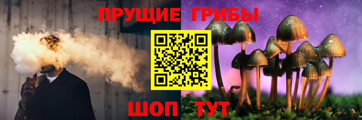Курчалой  закладки  Галлюциногенные грибы Psilocybe  Вход с VPN  Галлюциногенные грибы Psilocybe 