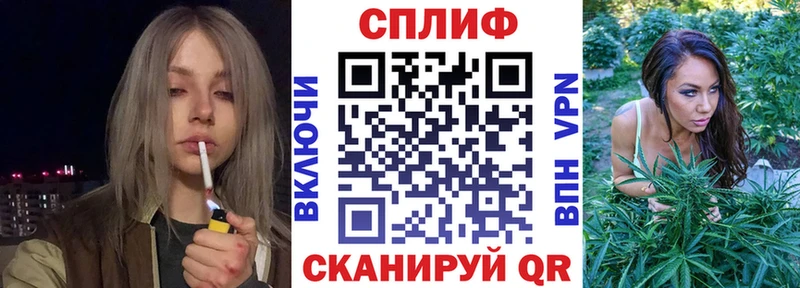 Конопля план  Курчалой 